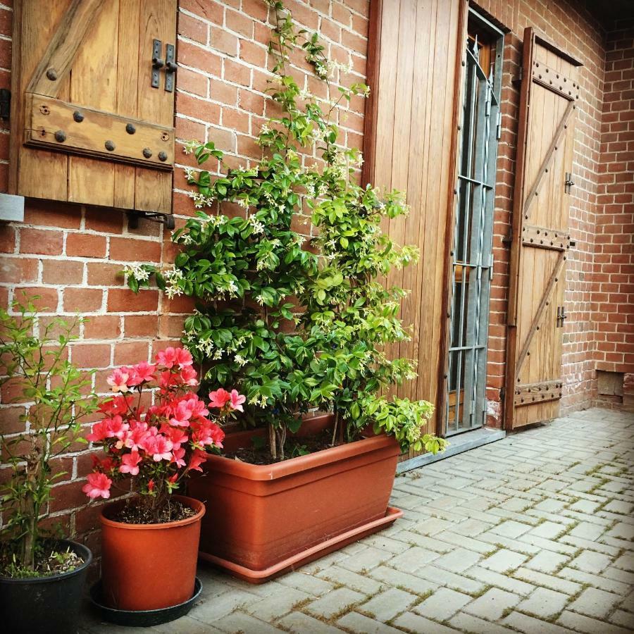 Bed & Breakfast Il Mio Gelso Villanova d'Asti Exterior foto